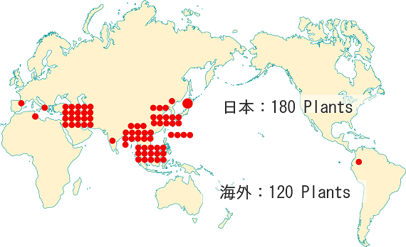 納品実績の図