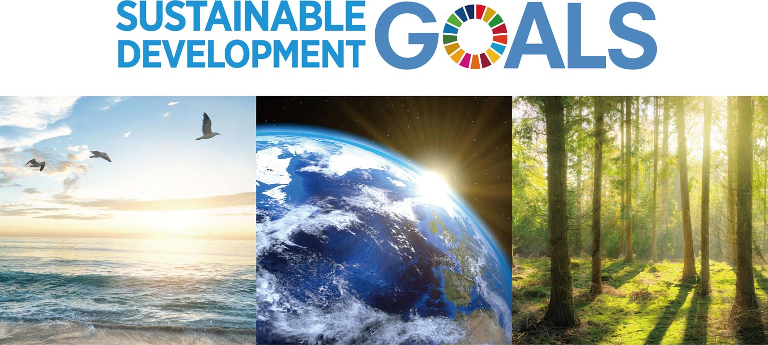 SUSTAINABLE DEVELOPMENT GOALS